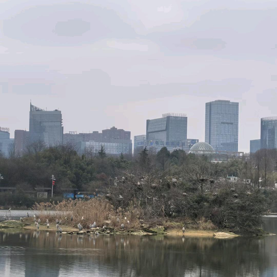 好的，一生