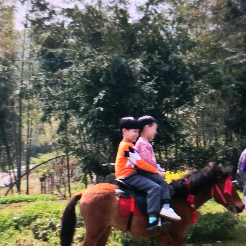 家和万事兴