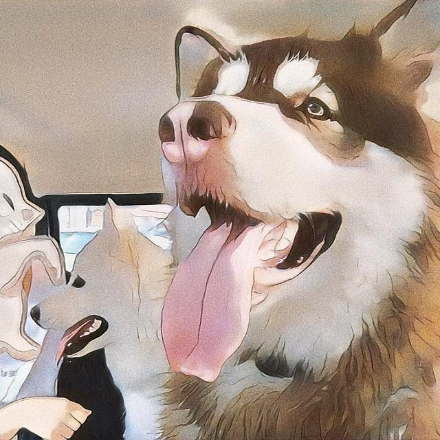 小胖一家人