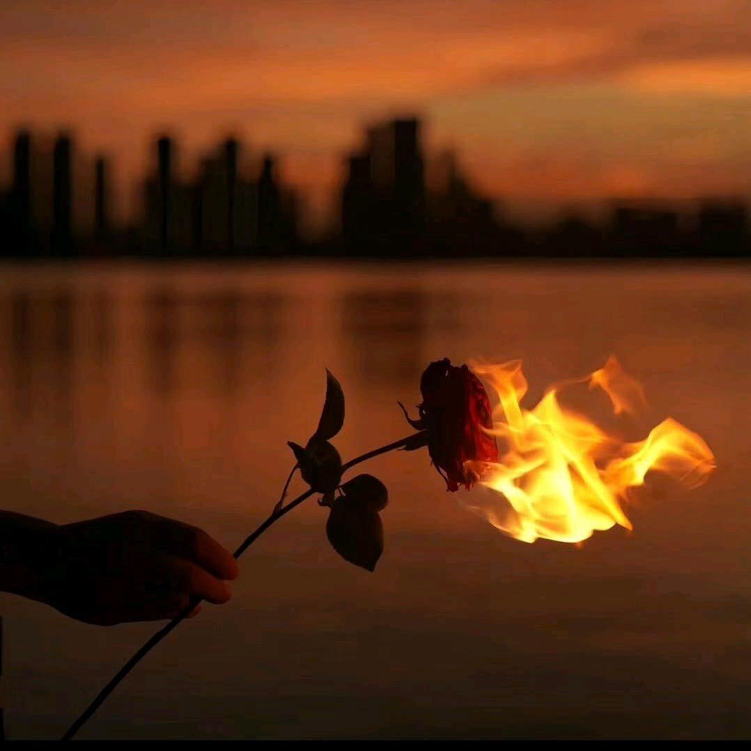 小羊糕！平安公司