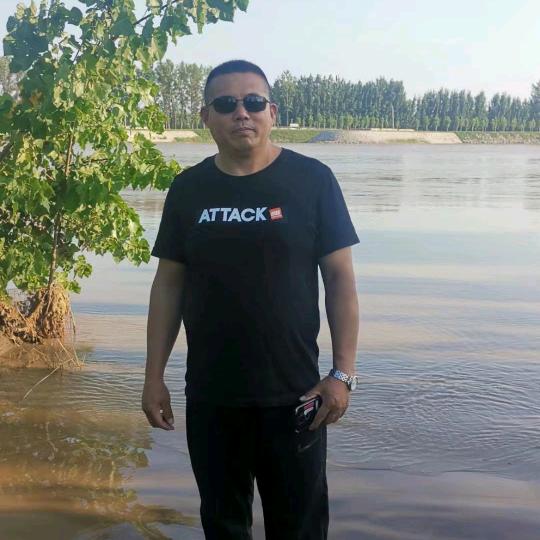 孤独的梧桐树