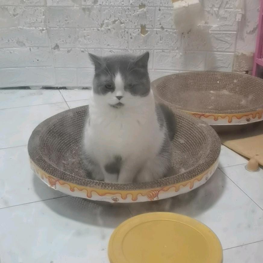 风雨阳光