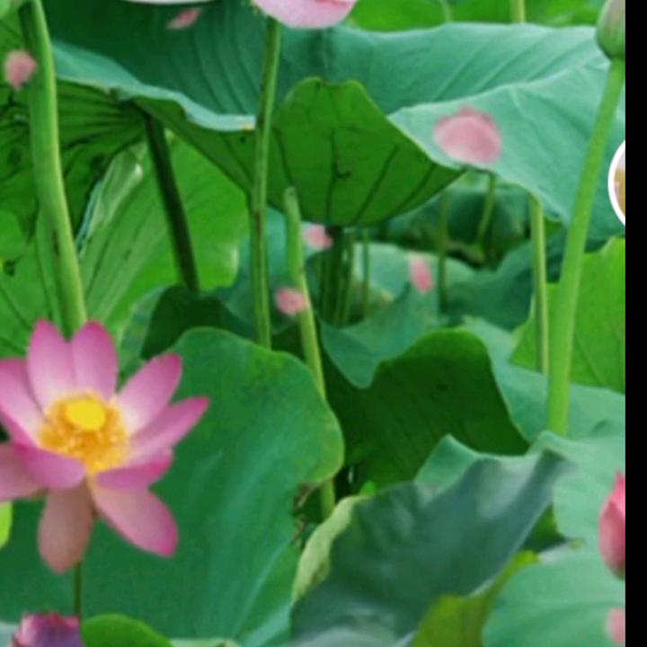 简简单单