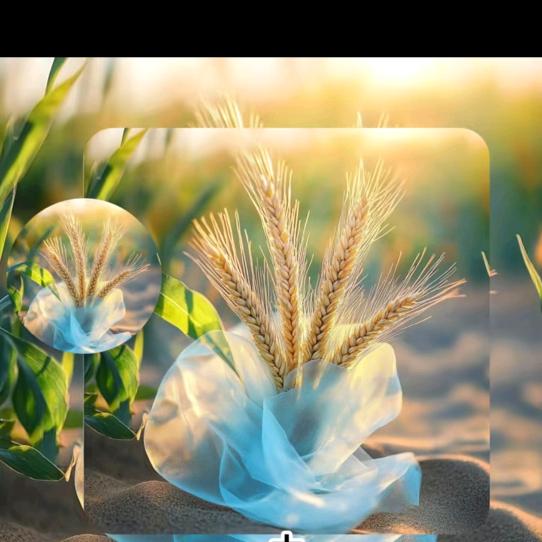 ღ᭄ꦿ凉沐ღ᭄ꦿ