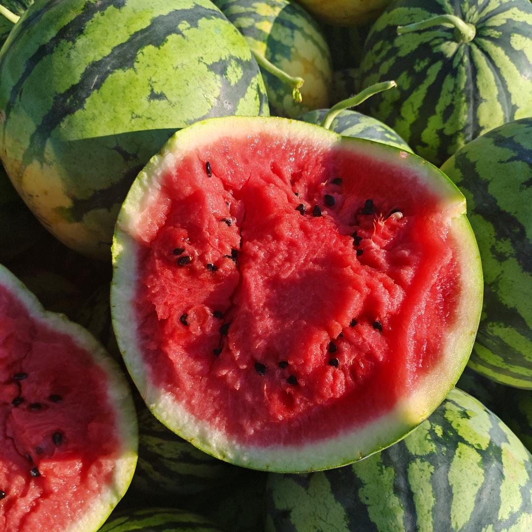 河南西瓜代言人