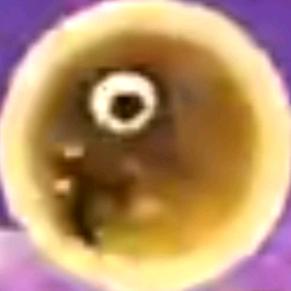 🐙🦑穿越之我在蛮颓当M🐙🦑
