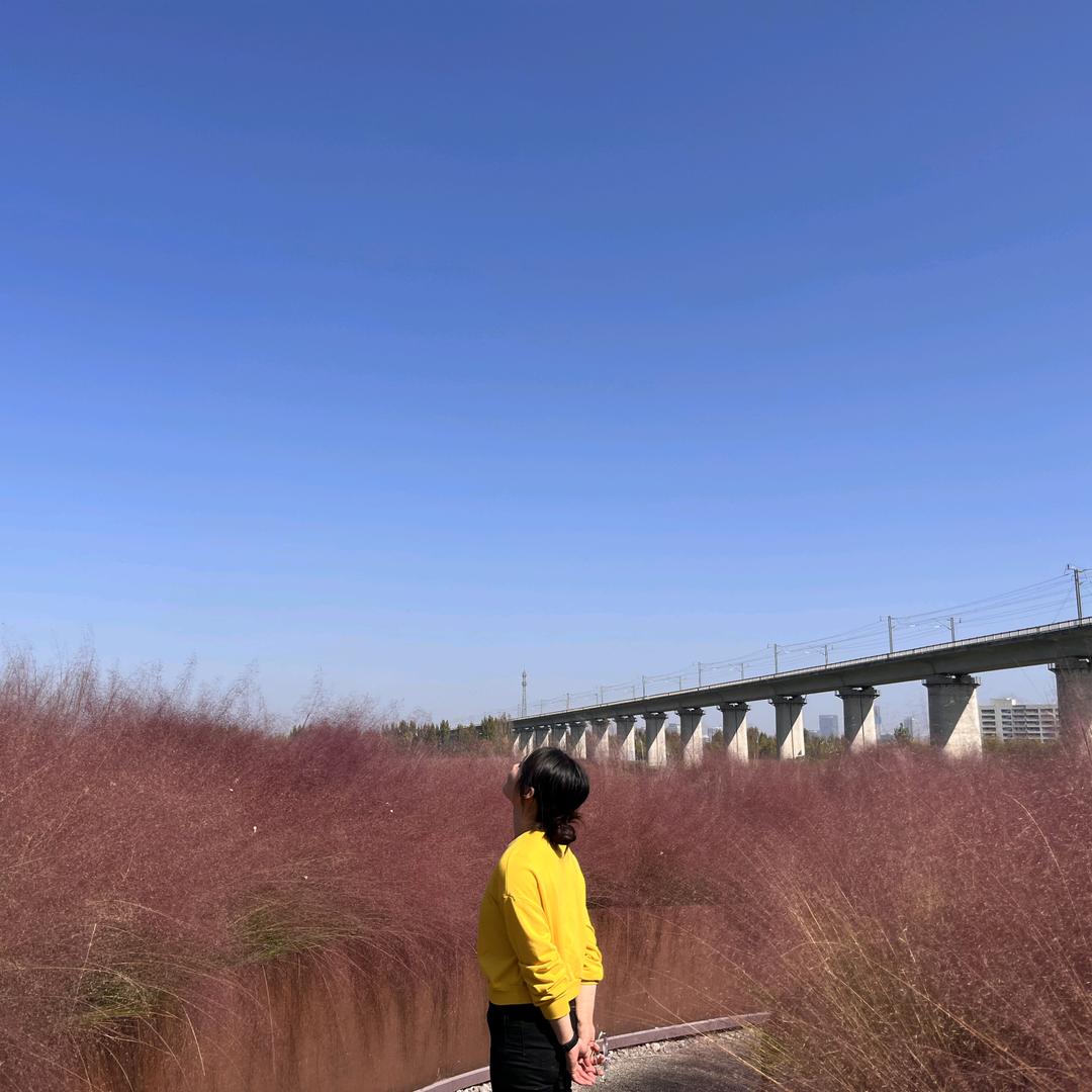 苏苏