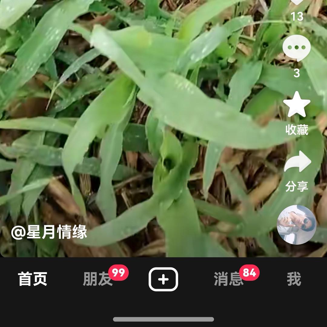 保哥