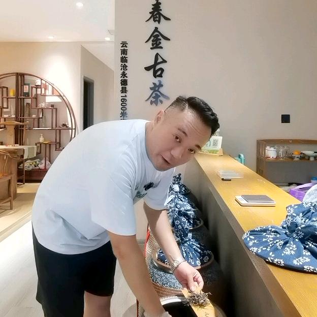 春金古茶 傅荣勤