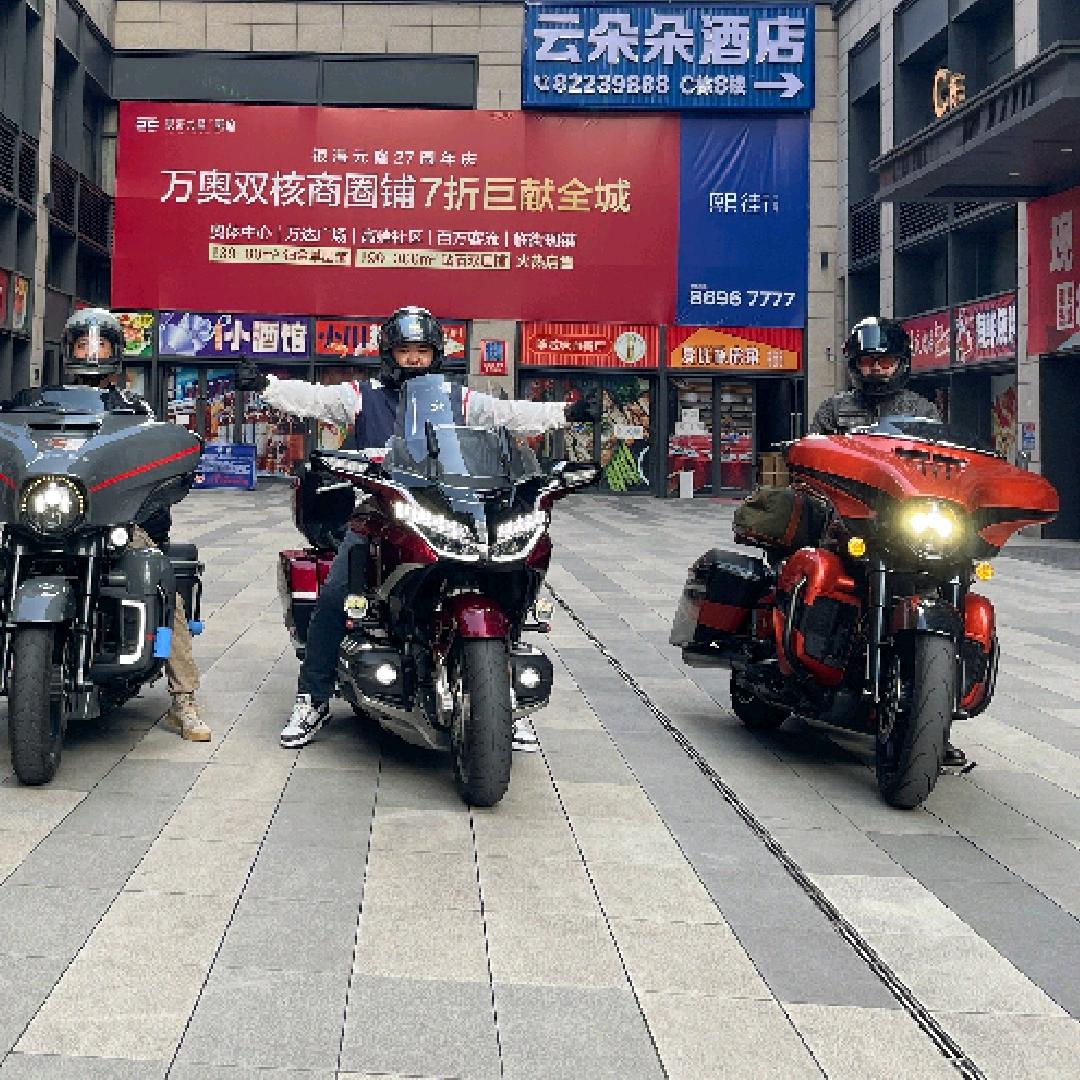 志愿66666