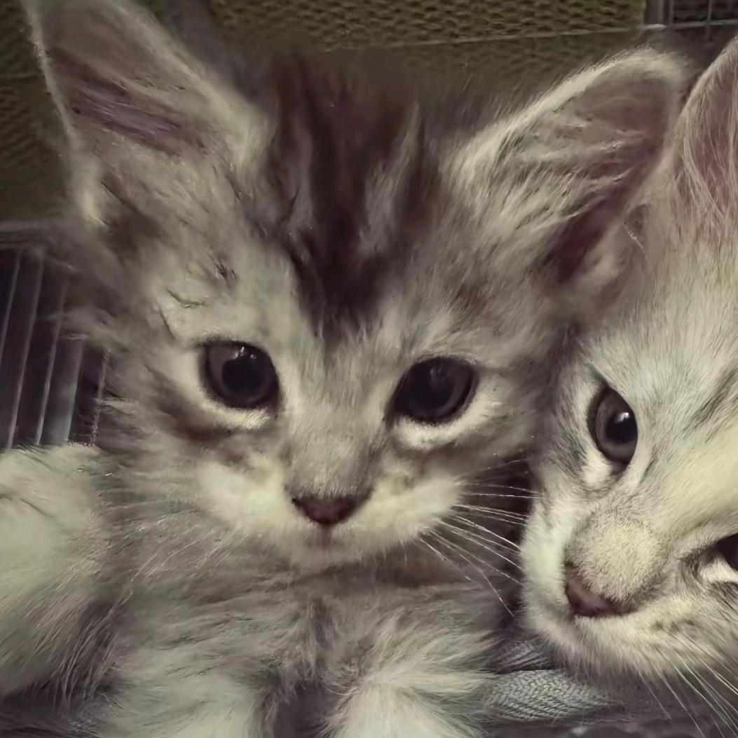 AAA～空调厂张总