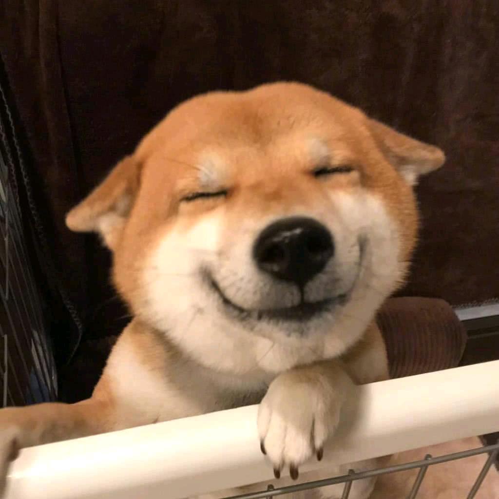 风吹起了从前