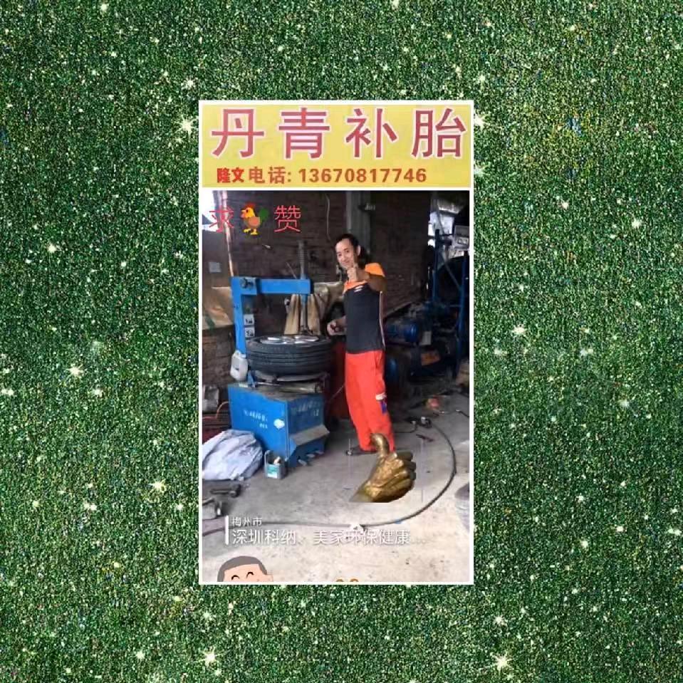 丹青补胎隆文