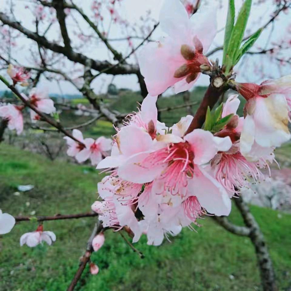 慧慧