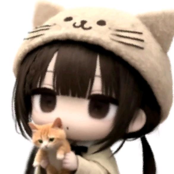 kittook.