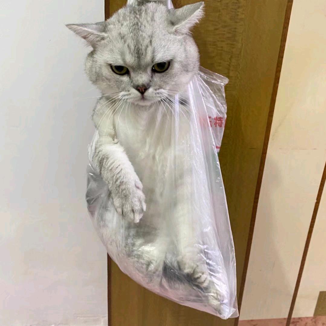 毛团