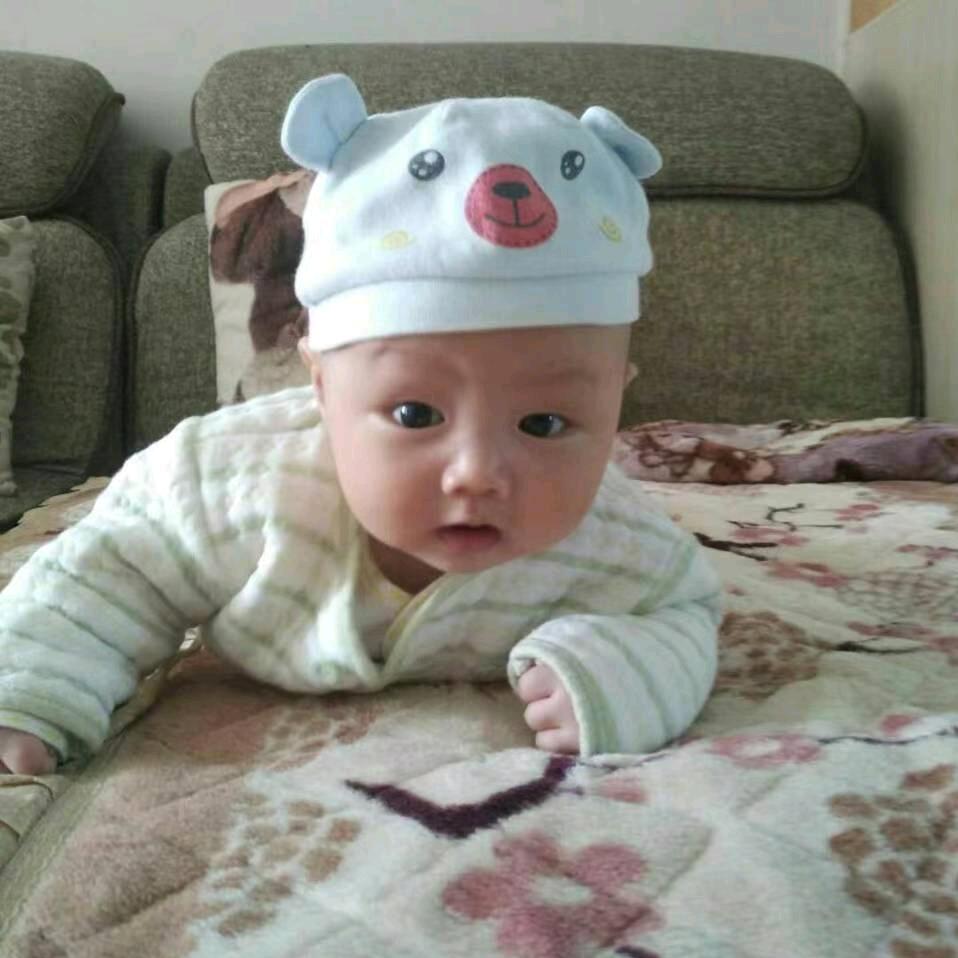 阳光明媚 手机摄影