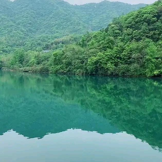 春兰秋菊