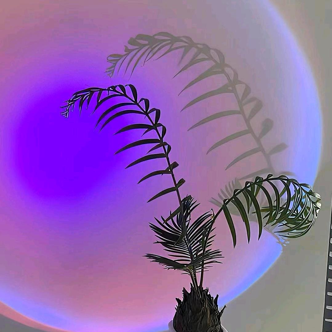 小金库