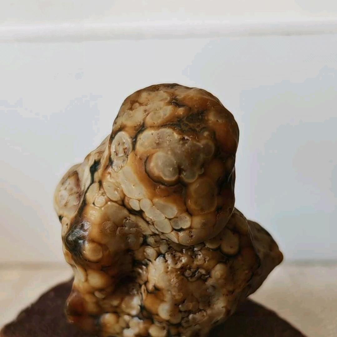 顺城大漠石韵