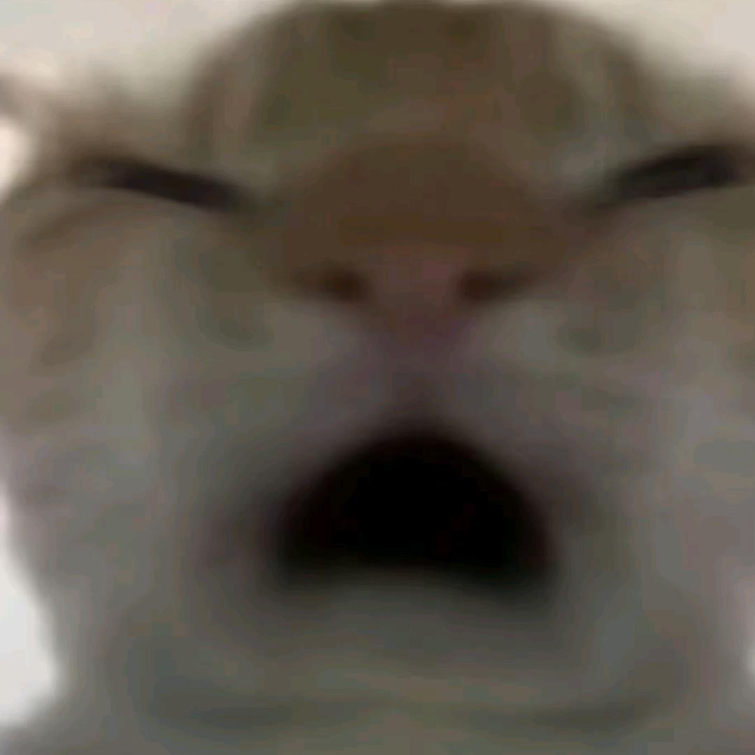 迷离（三角洲行动）