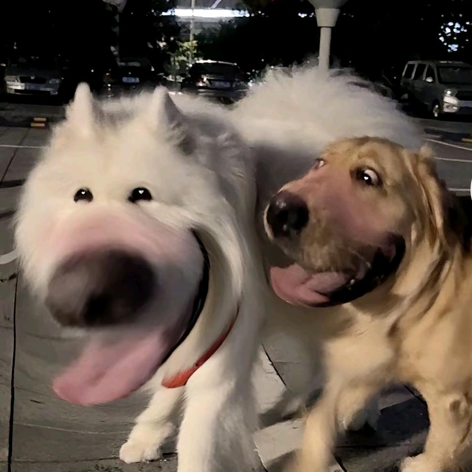 坝上一锅鲜铁锅焖面（尚义店）宣传号