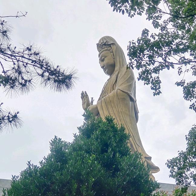 艺芝美容养生馆