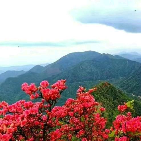 蜂蜜人