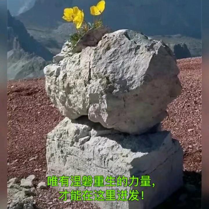 七个世纪