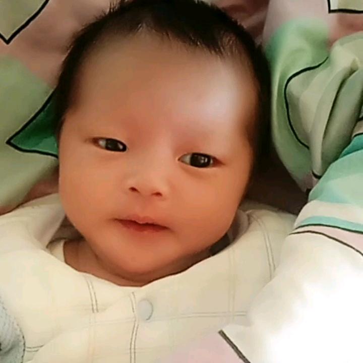 王司瑶，王鉴恒