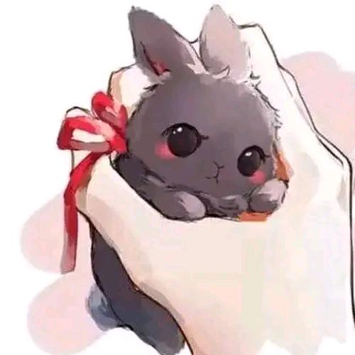 耗子骑猫