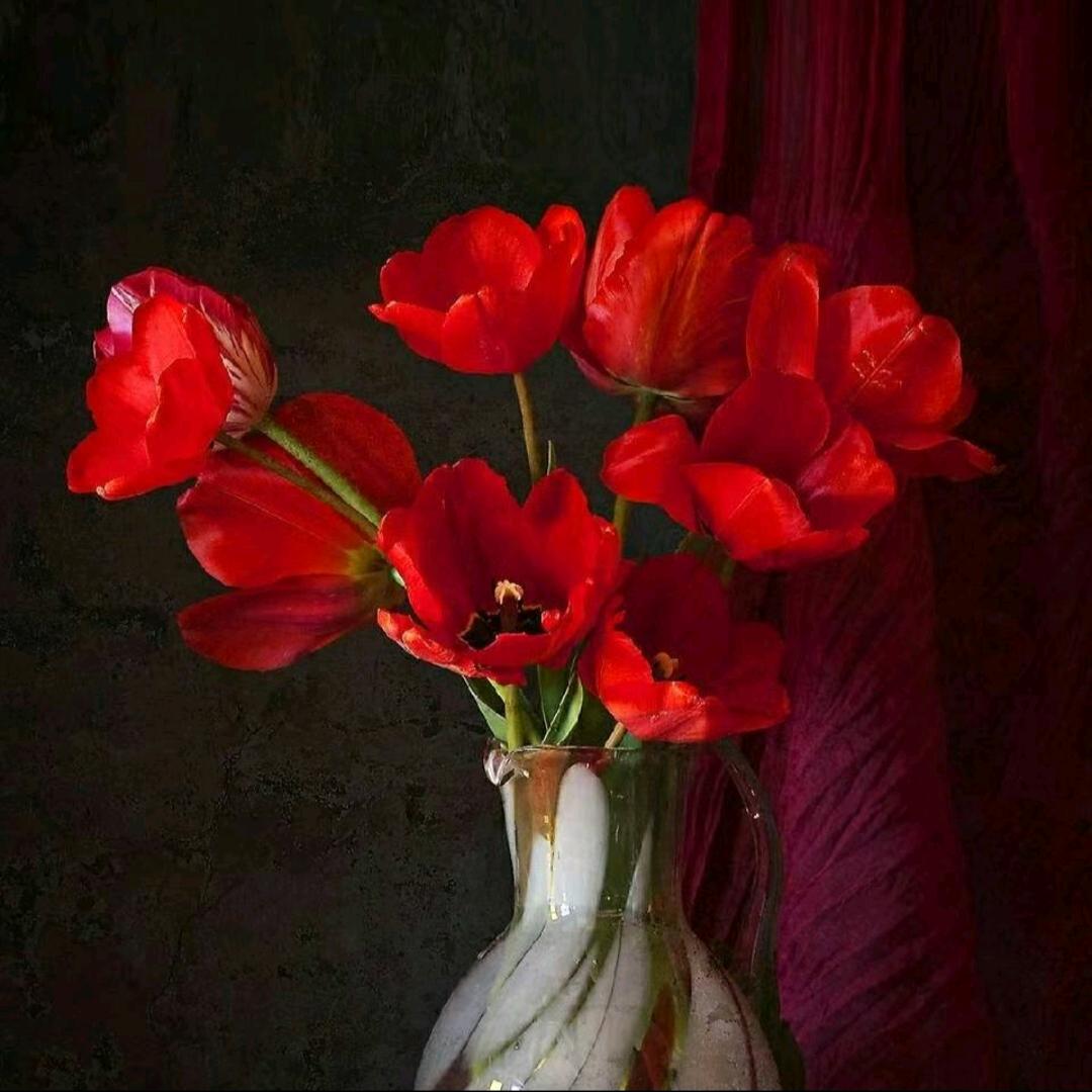 爱花