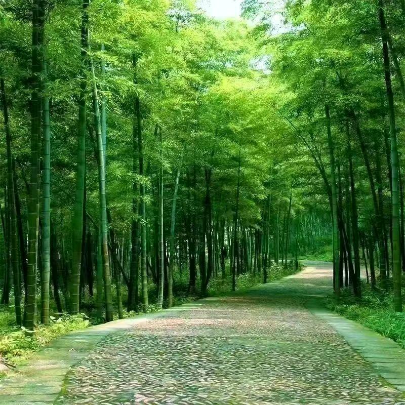 🥀এ᭄余生💔有你ഒᩚ࿐