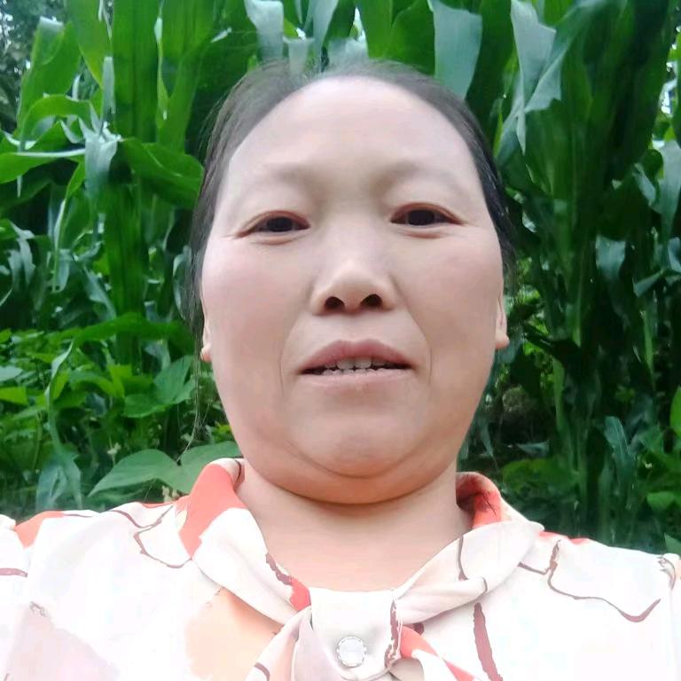 小李 (小号晚上7:10首播。