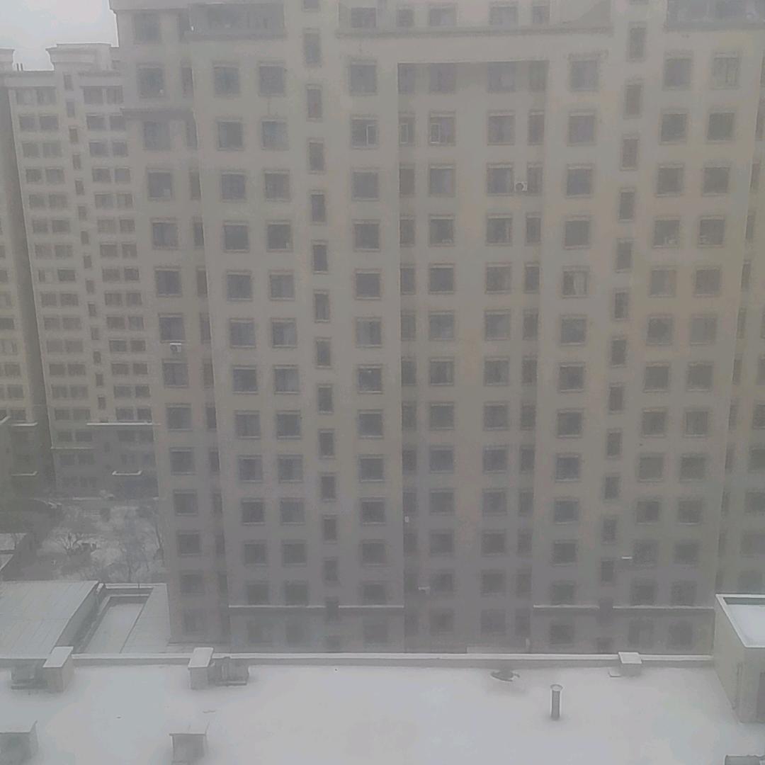 古，月，禾，乃，林，彡