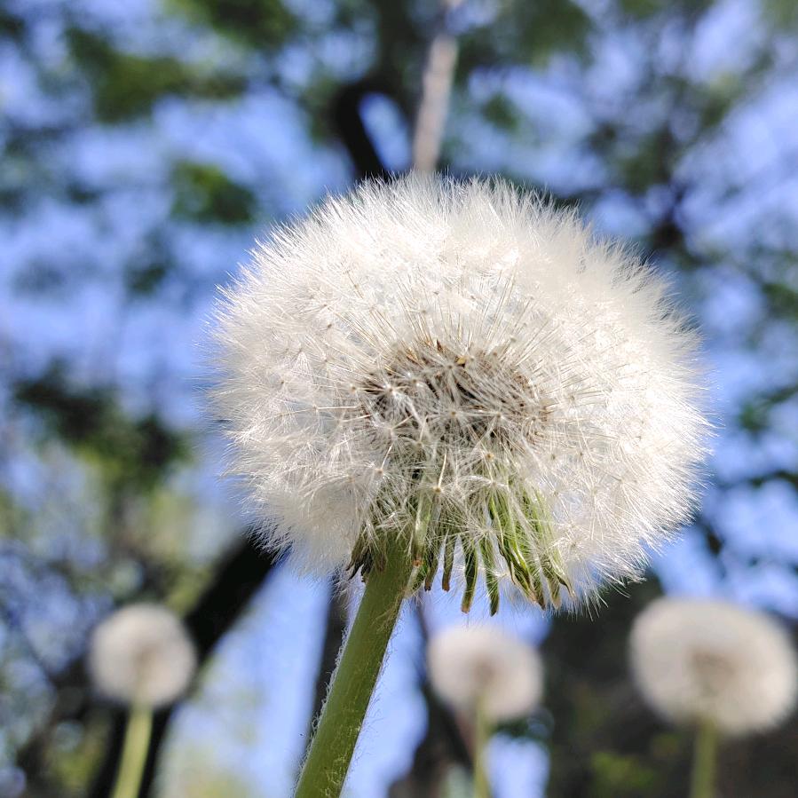 平凡的我……周明