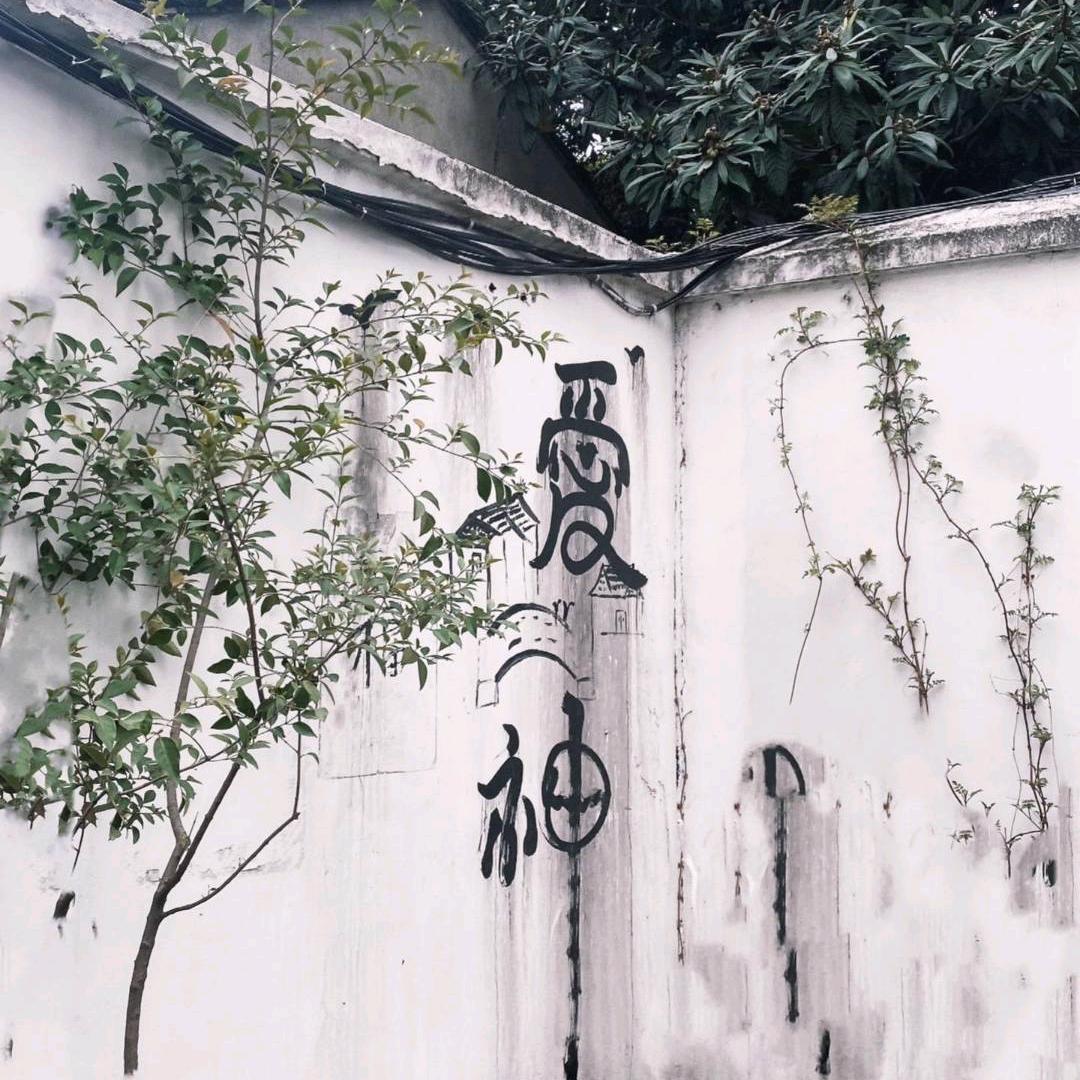 光年互娱-是白宝呀