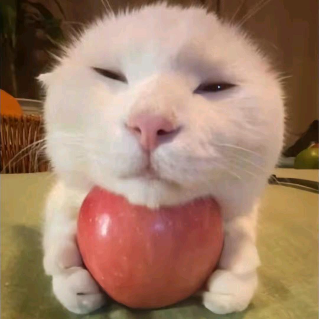 兰陵王