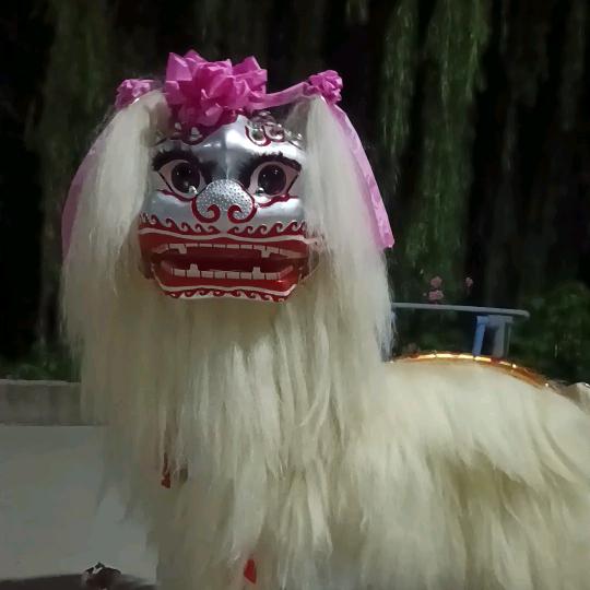 顺子舞狮团