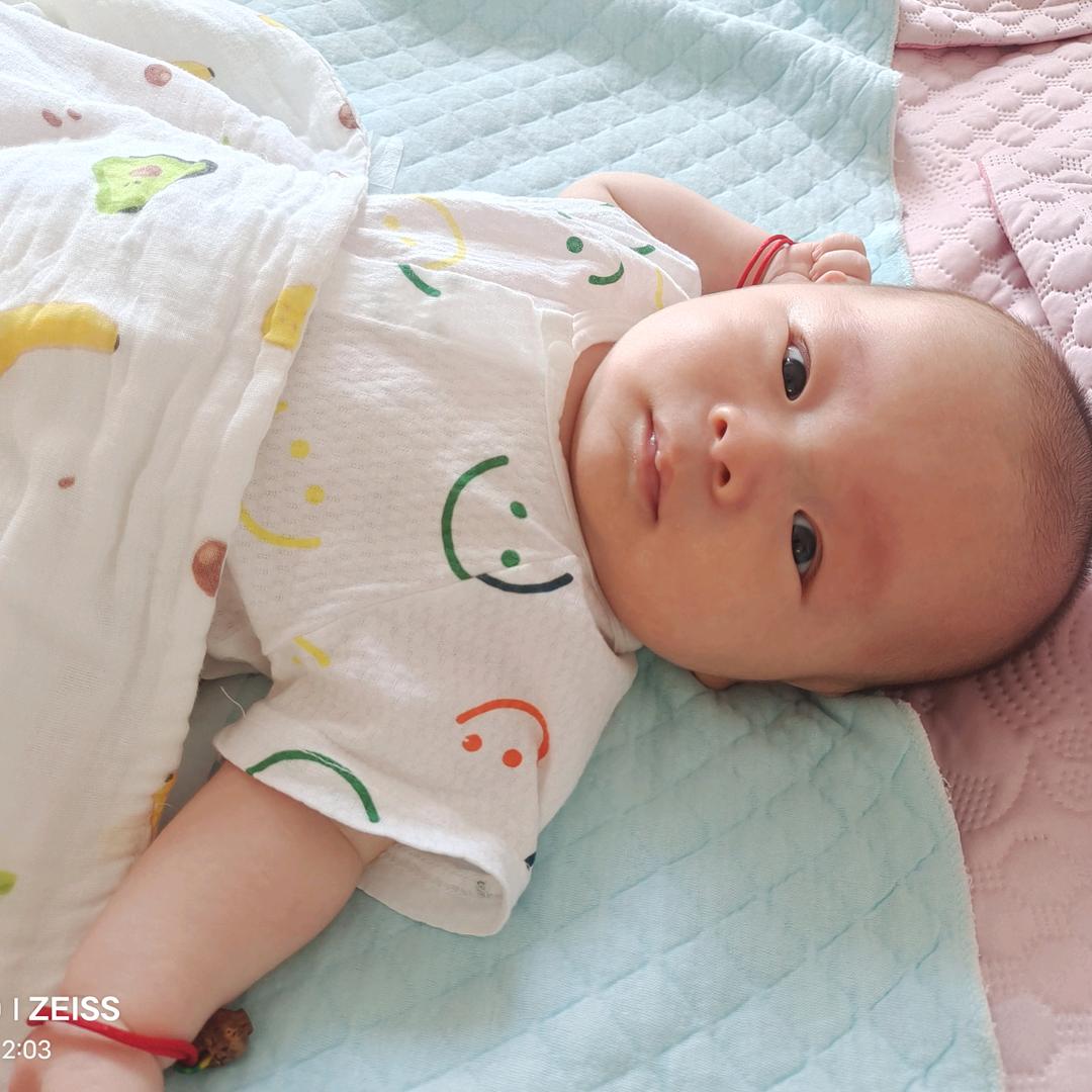 向宝麻麻