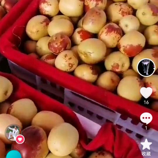 大荔诚信果业，代收各种水果
