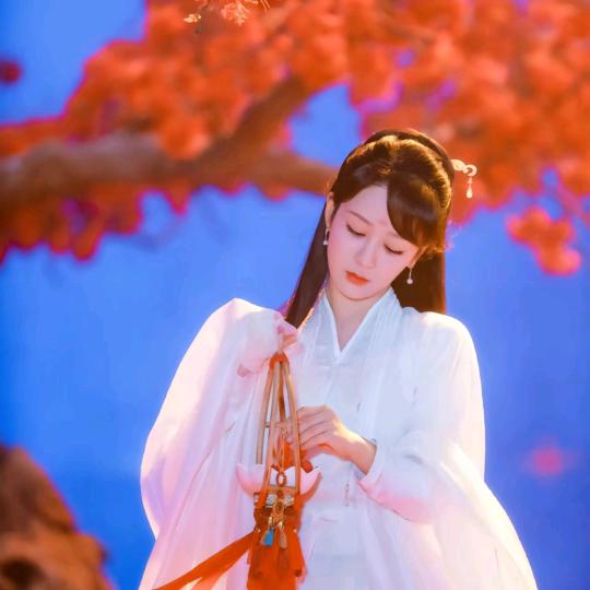 暴风中的雨点
