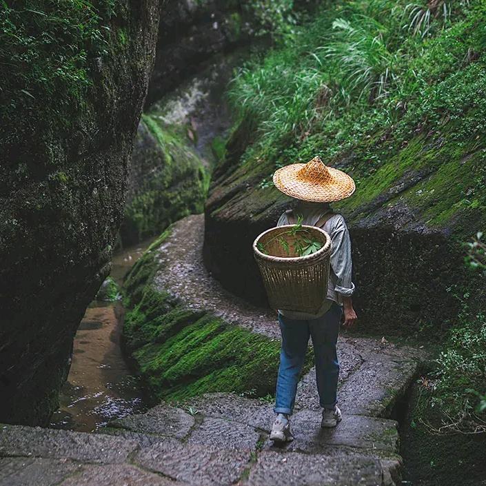 宝珍堂传承滋补馆