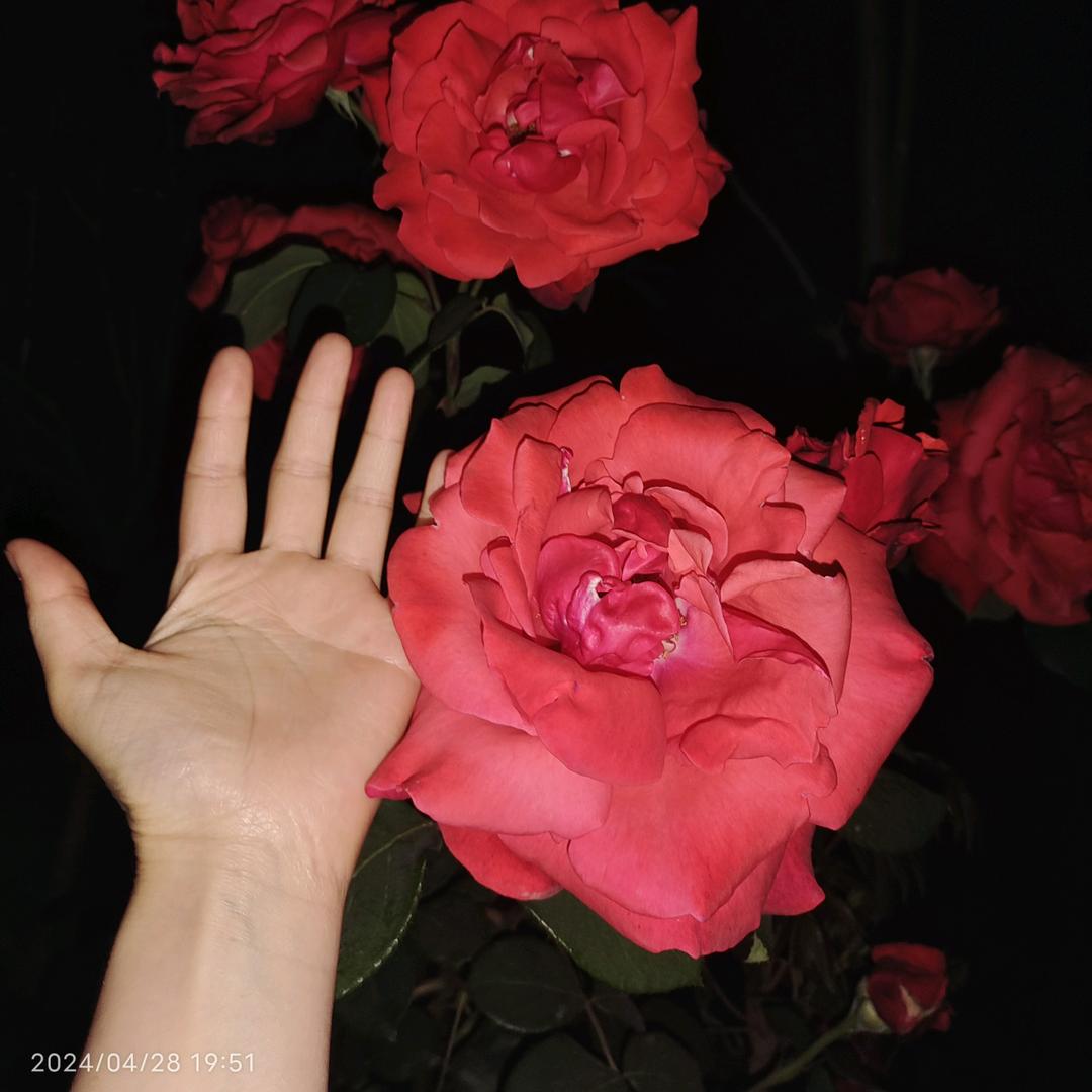 今天真的很爽！