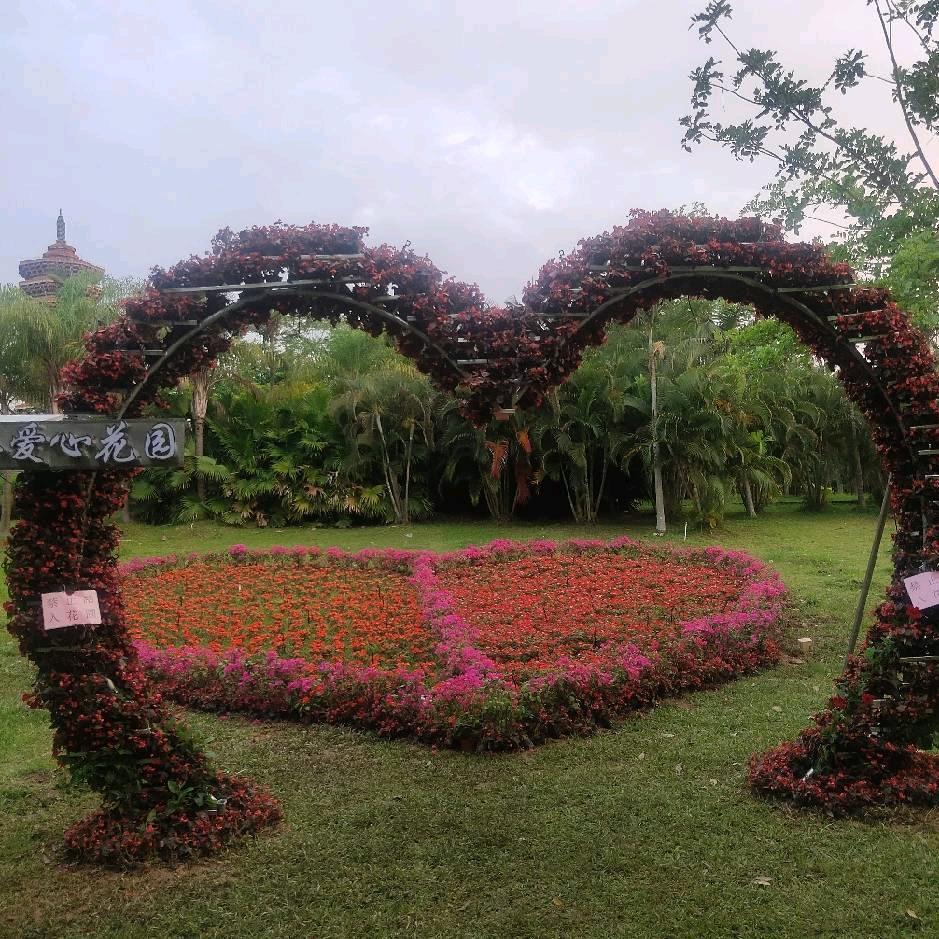 一陆向北（不定时开播）