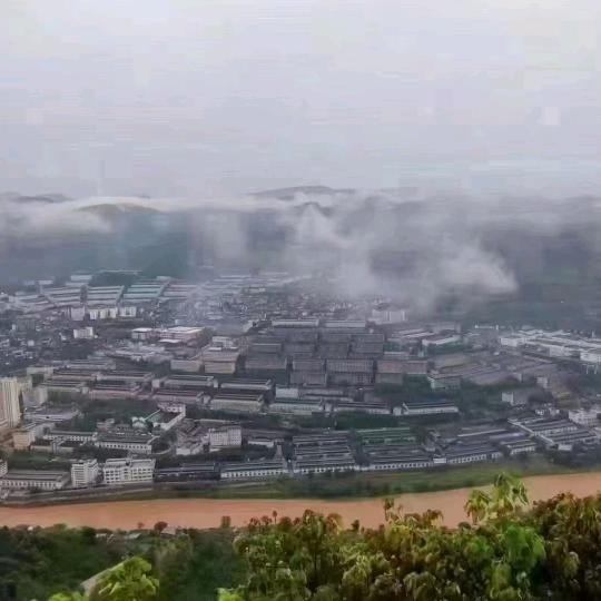 茅台-知鸿