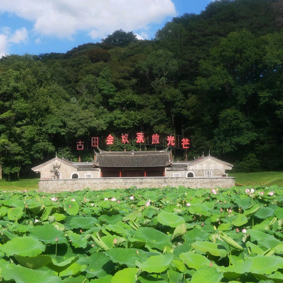 陈秋钦