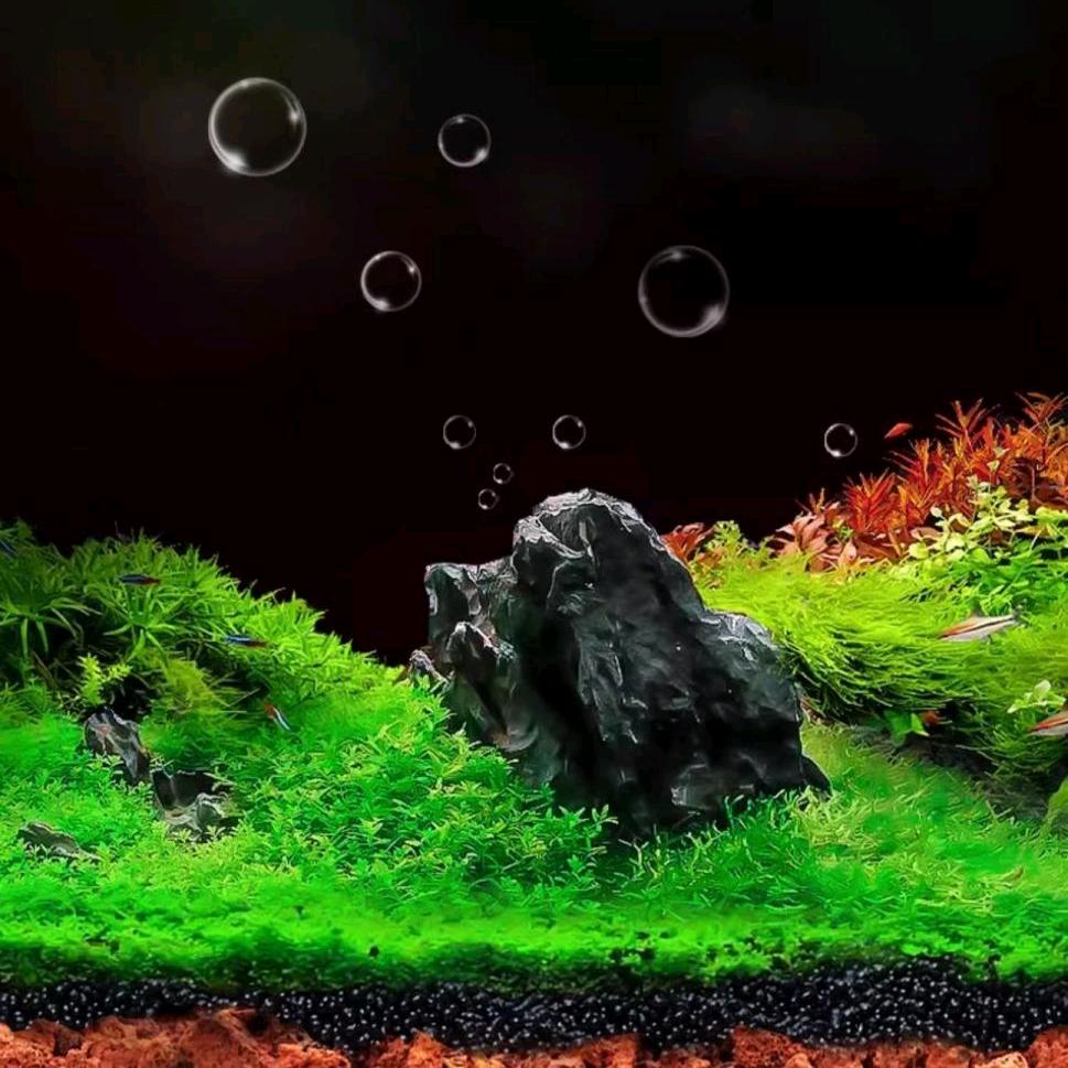 超选超选
