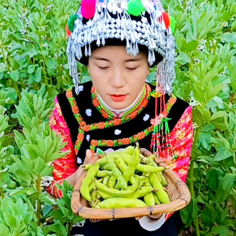 豆蔻小阿依