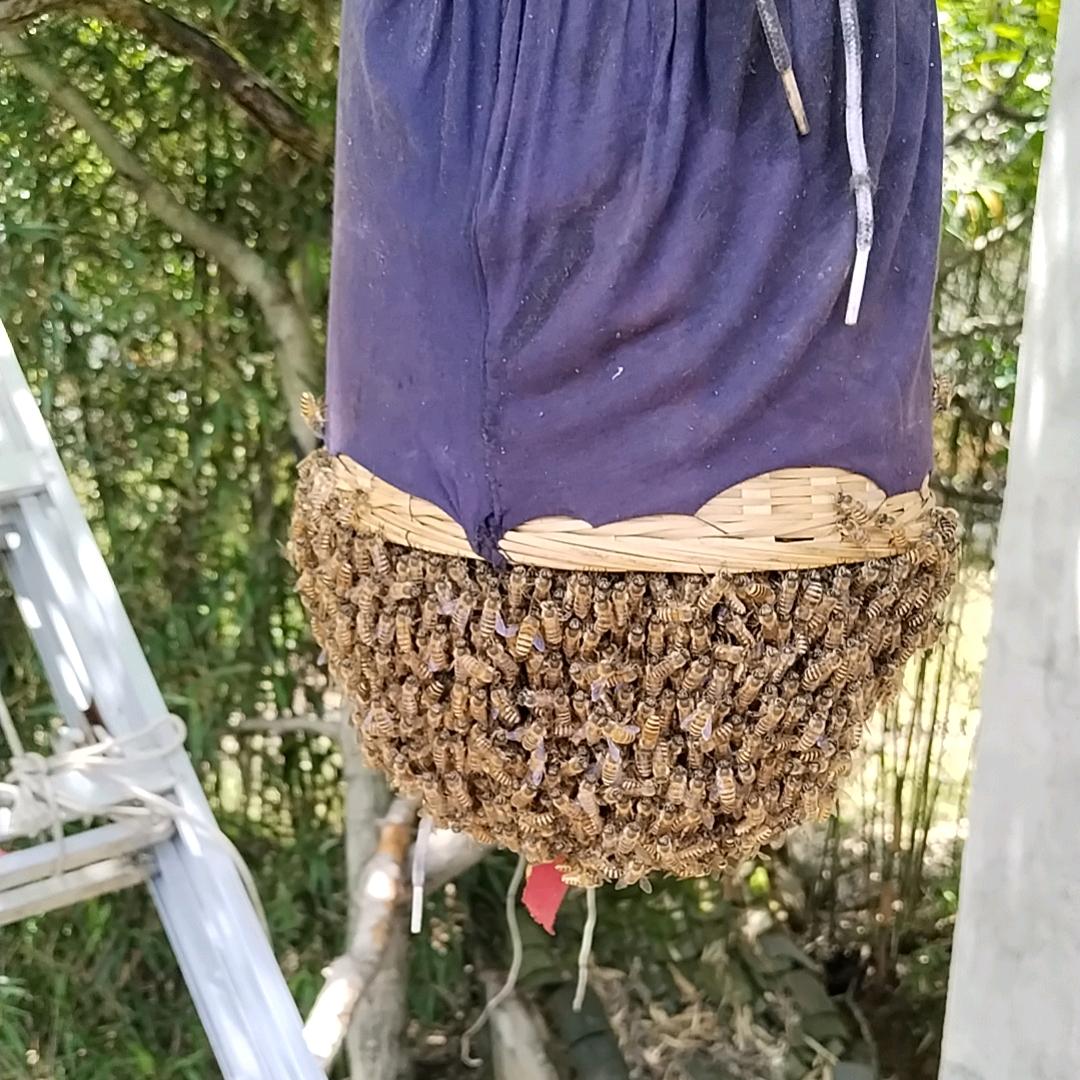 专业拆除电梯。